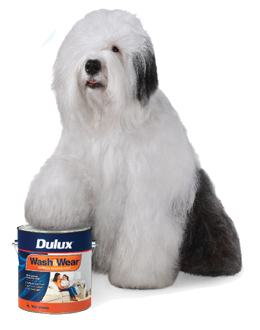 Dulux | Print Management Portal